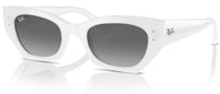 Ray-Ban RB4430 sunglasses