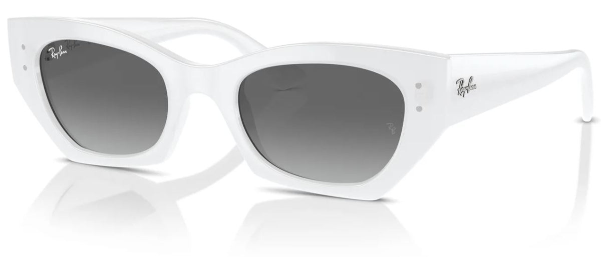 Ray-Ban RB4430 sunglasses