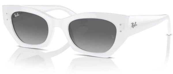 Ray-Ban RB4430 sunglasses