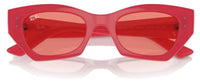 Ray-Ban RB4430 sunglasses