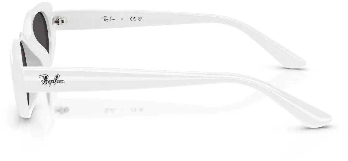 Zonnebril Ray-Ban RB4441D