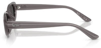 Zonnebril Ray-Ban RB4441D