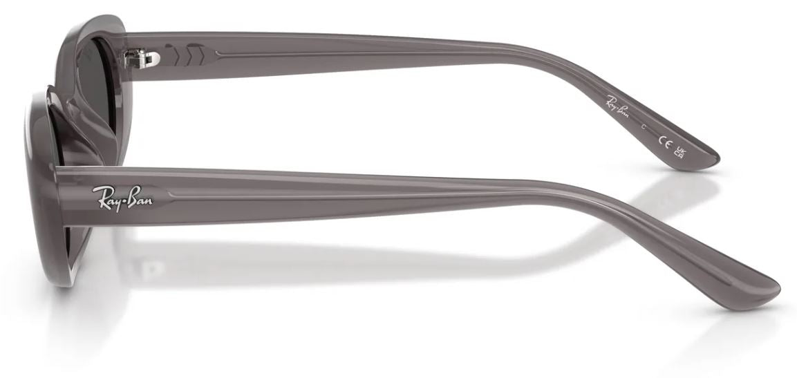 Zonnebril Ray-Ban RB4441D