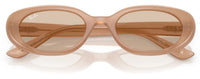 Zonnebril Ray-Ban RB4441D