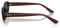 Zonnebril Ray-Ban RB4441D
