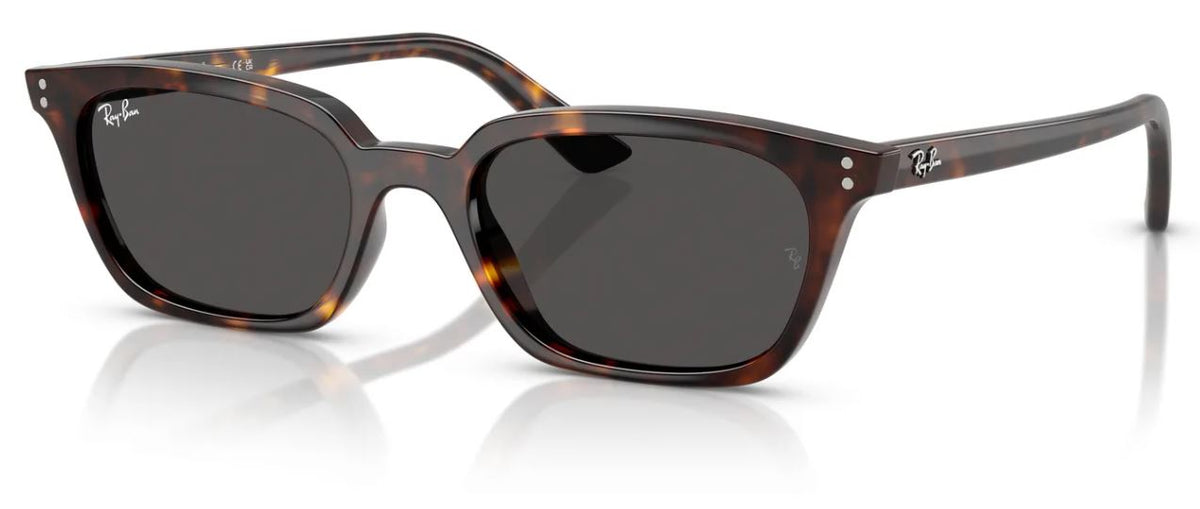 Gafas de sol Ray-Ban RB4456