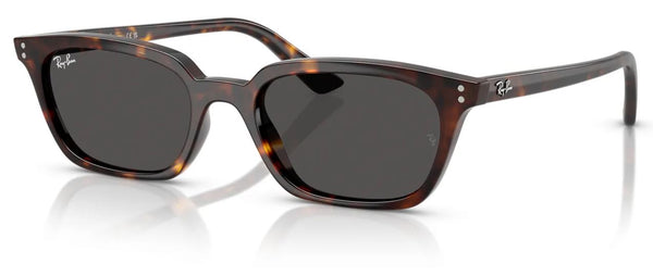 Gafas de sol Ray-Ban RB4456