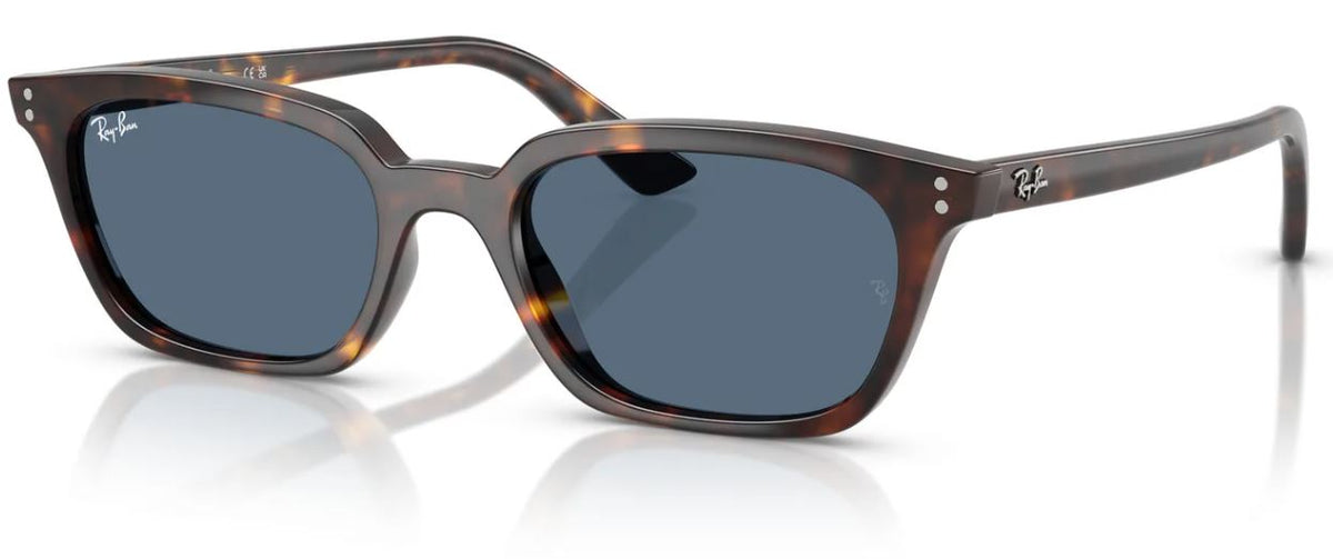 Gafas de sol Ray-Ban RB4456