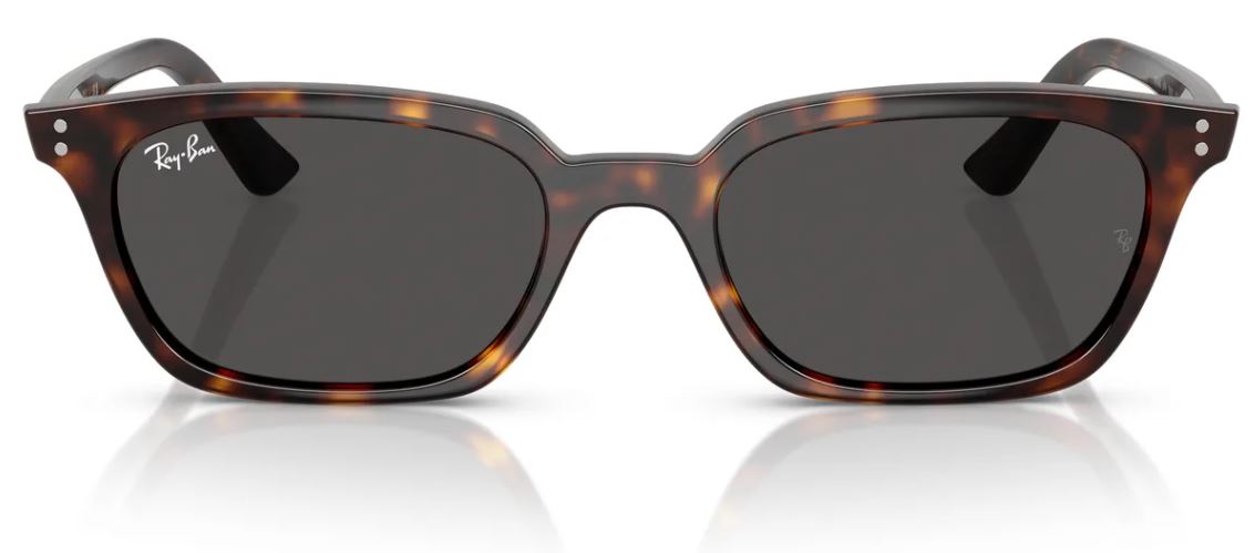 Gafas de sol Ray-Ban RB4456