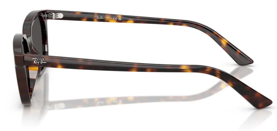Gafas de sol Ray-Ban RB4456