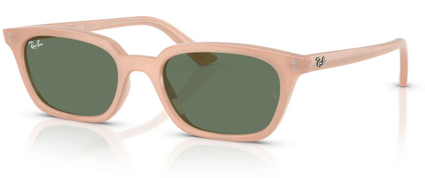 Gafas de sol Ray-Ban RB4456