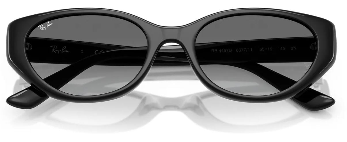 Lunettes de soleil Ray-Ban RB4457D
