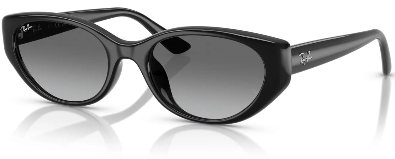 Lunettes de soleil Ray-Ban RB4457D