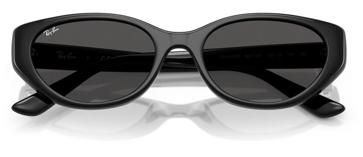 Lunettes de soleil Ray-Ban RB4457D