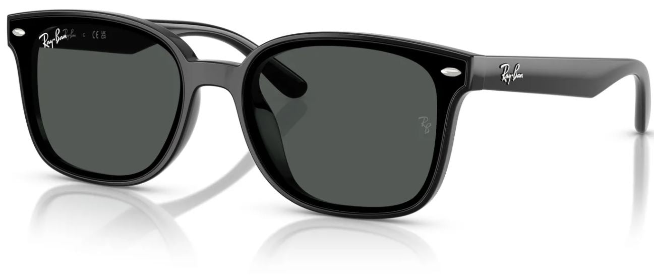 Lunettes de soleil Ray-Ban RB4461D