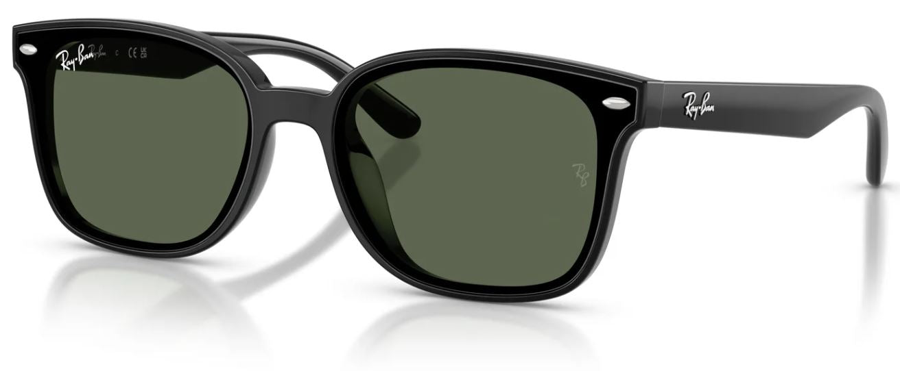 Lunettes de soleil Ray-Ban RB4461D