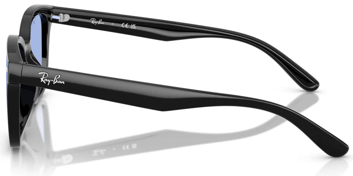 Lunettes de soleil Ray-Ban RB4461D