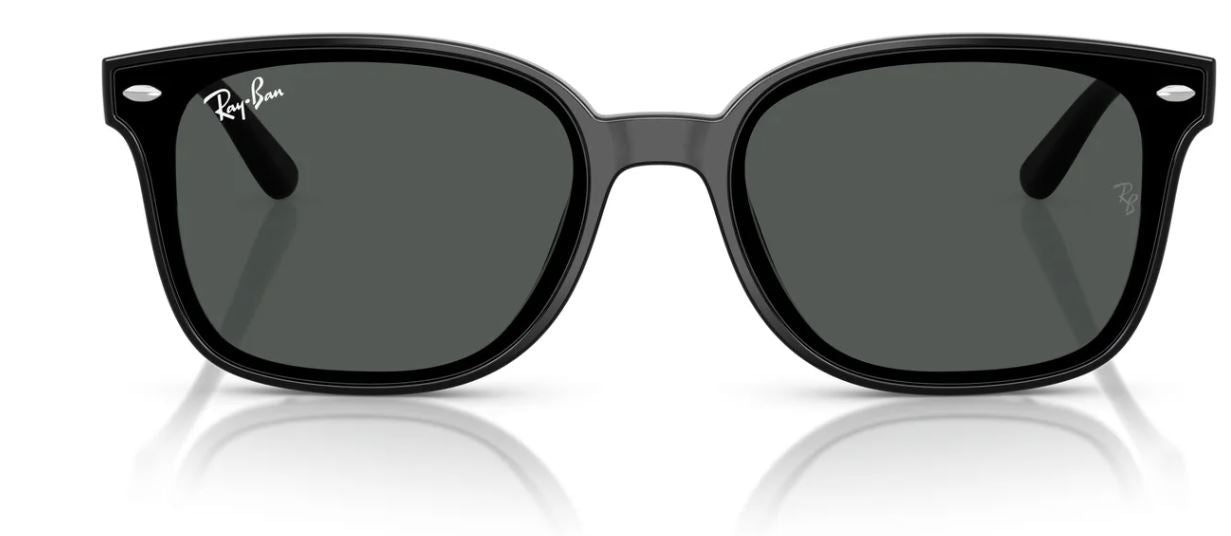 Lunettes de soleil Ray-Ban RB4461D