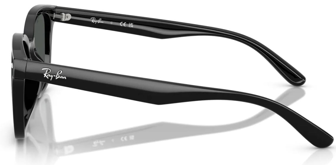 Lunettes de soleil Ray-Ban RB4461D