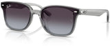 Lunettes de soleil Ray-Ban RB4461D