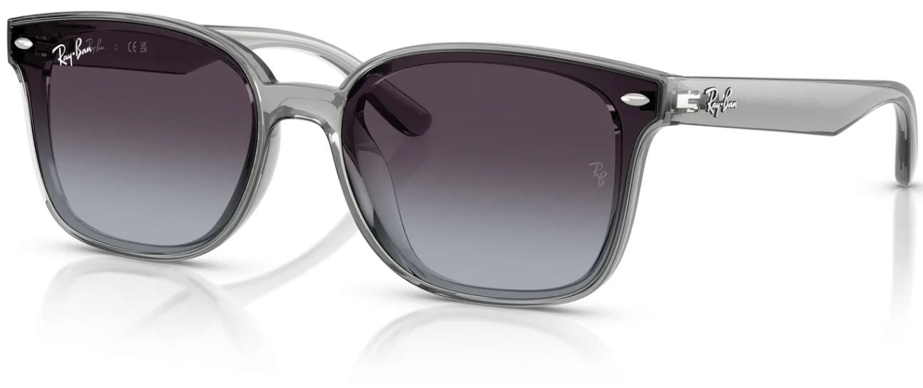 Lunettes de soleil Ray-Ban RB4461D