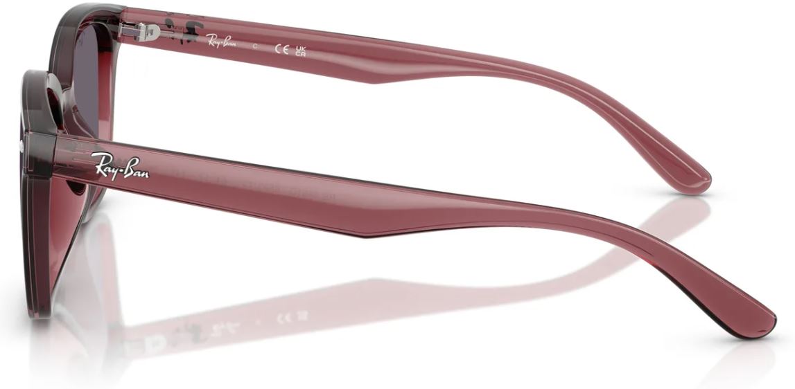Lunettes de soleil Ray-Ban RB4461D