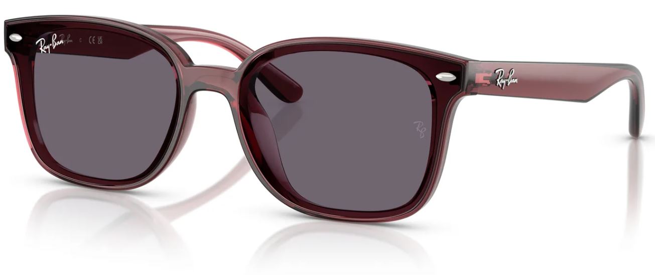 Lunettes de soleil Ray-Ban RB4461D