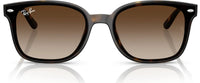 Lunettes de soleil Ray-Ban RB4461D