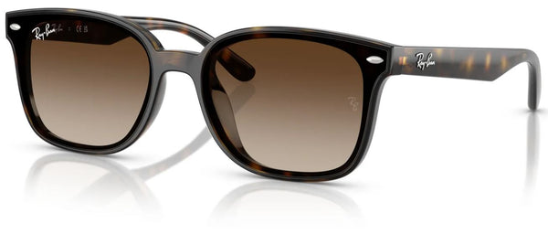 Lunettes de soleil Ray-Ban RB4461D