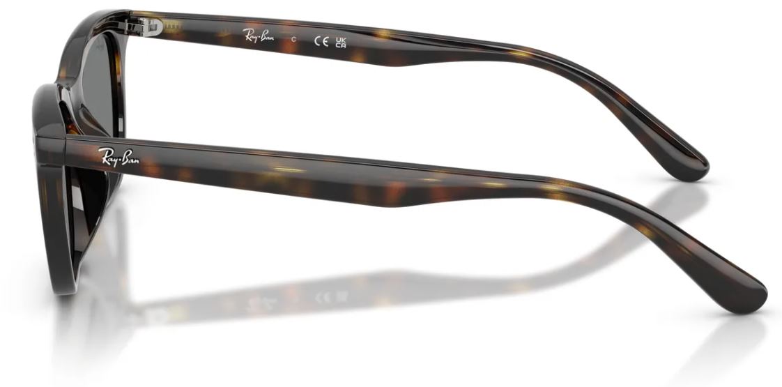 Lunettes de soleil Ray-Ban RB4474D