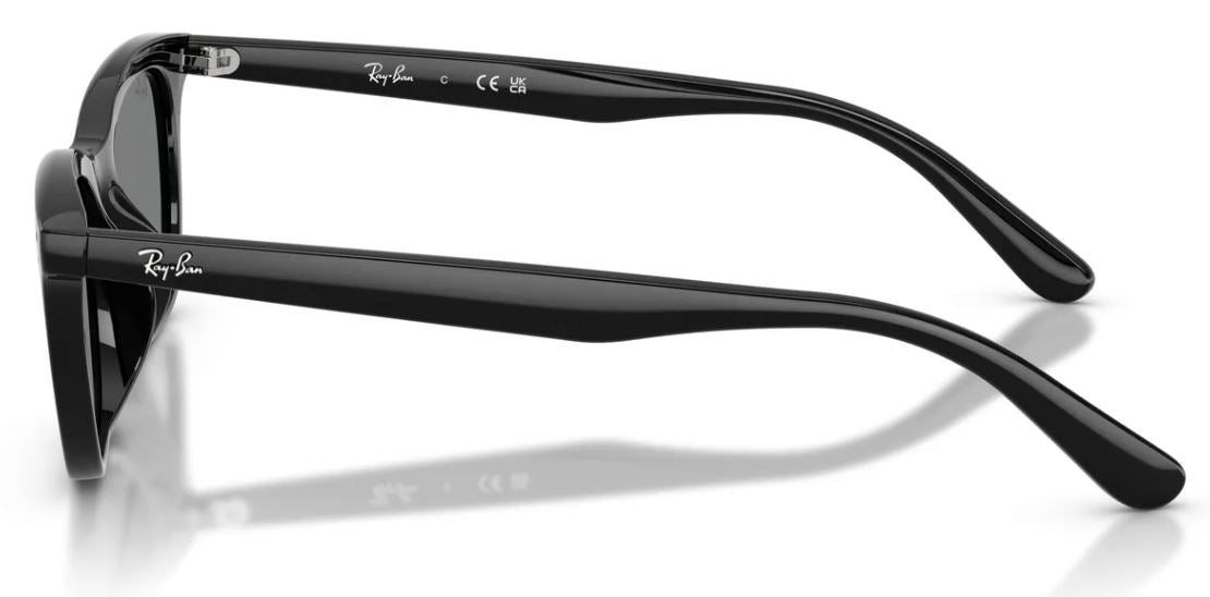 Lunettes de soleil Ray-Ban RB4474D