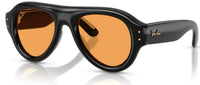 Ray-Ban Sonnenbrille RB4925