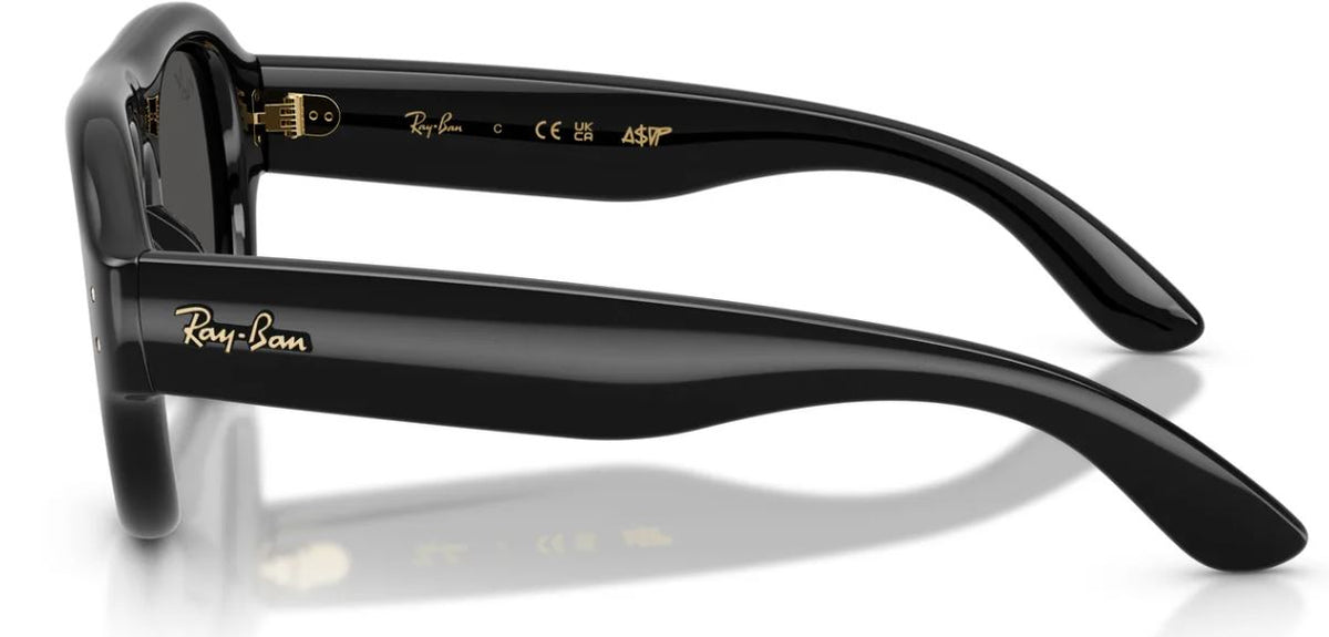 Ray-Ban Sonnenbrille RB4925