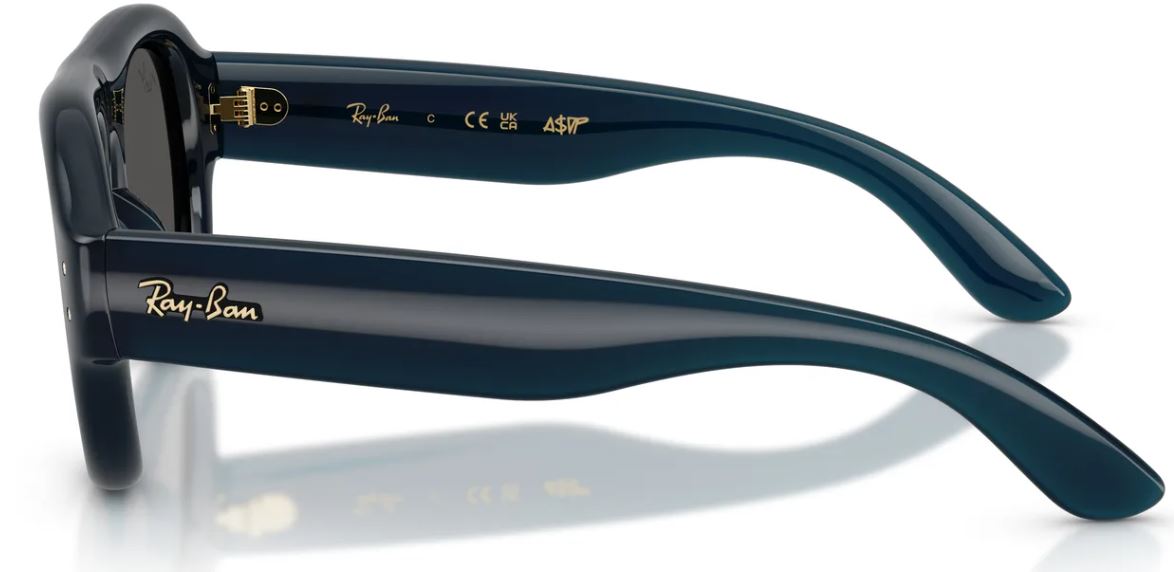 Ray-Ban Sonnenbrille RB4925
