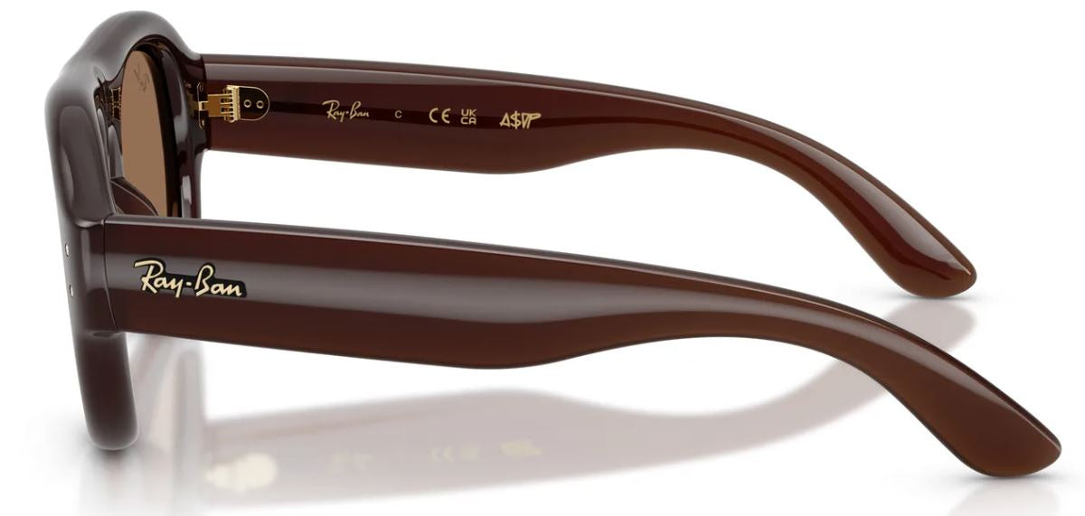 Ray-Ban Sonnenbrille RB4925