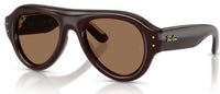 Ray-Ban Sonnenbrille RB4925