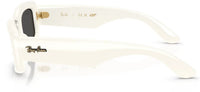 Ray-Ban zonnebril RB4944