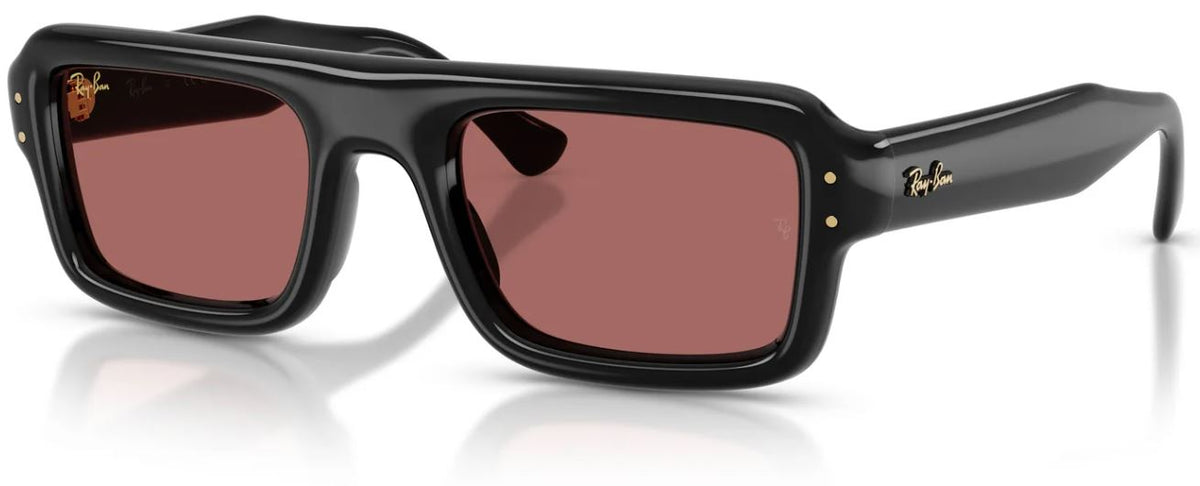 Ray-Ban RB4954 太陽眼鏡