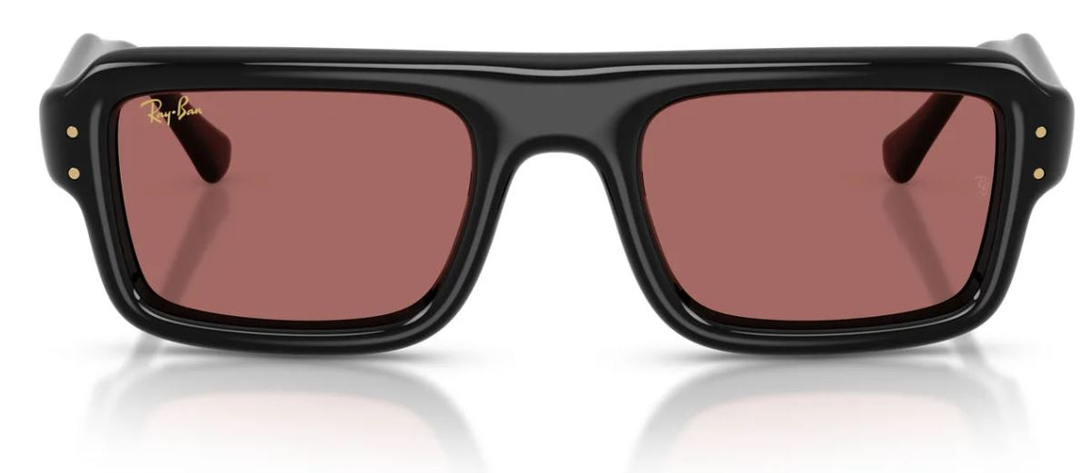 Ray-Ban RB4954 太陽眼鏡