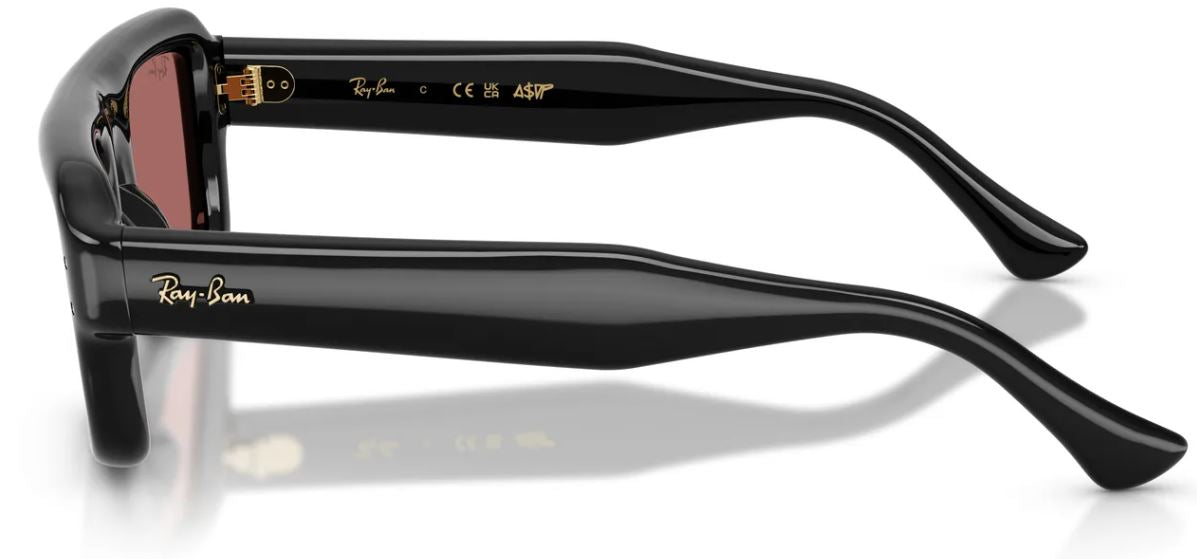 Ray-Ban RB4954 太陽眼鏡
