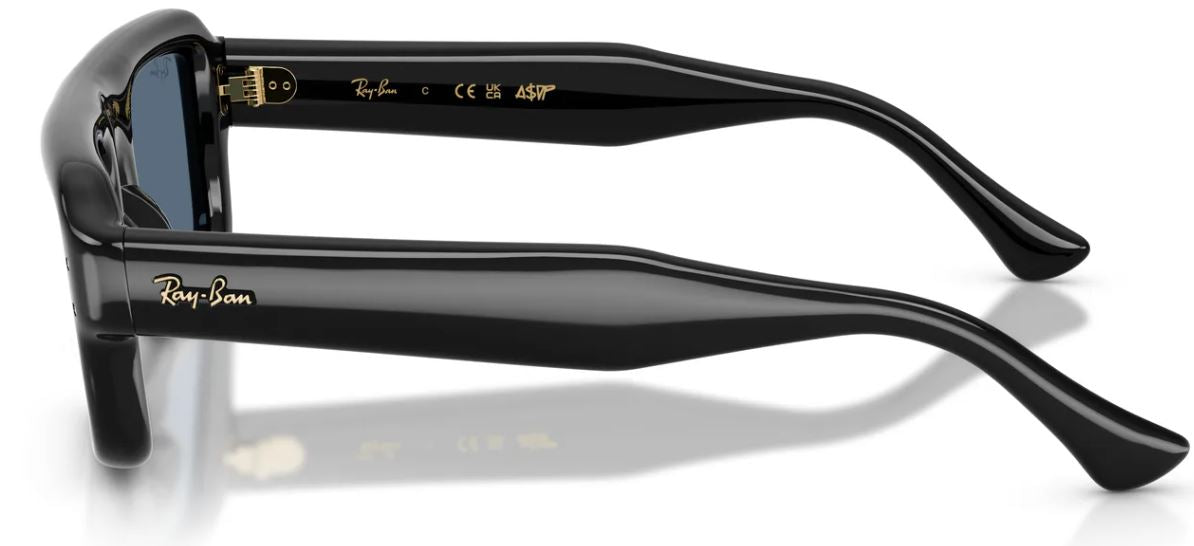 Ray-Ban RB4954 太陽眼鏡