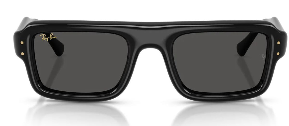 Ray-Ban RB4954 太陽眼鏡