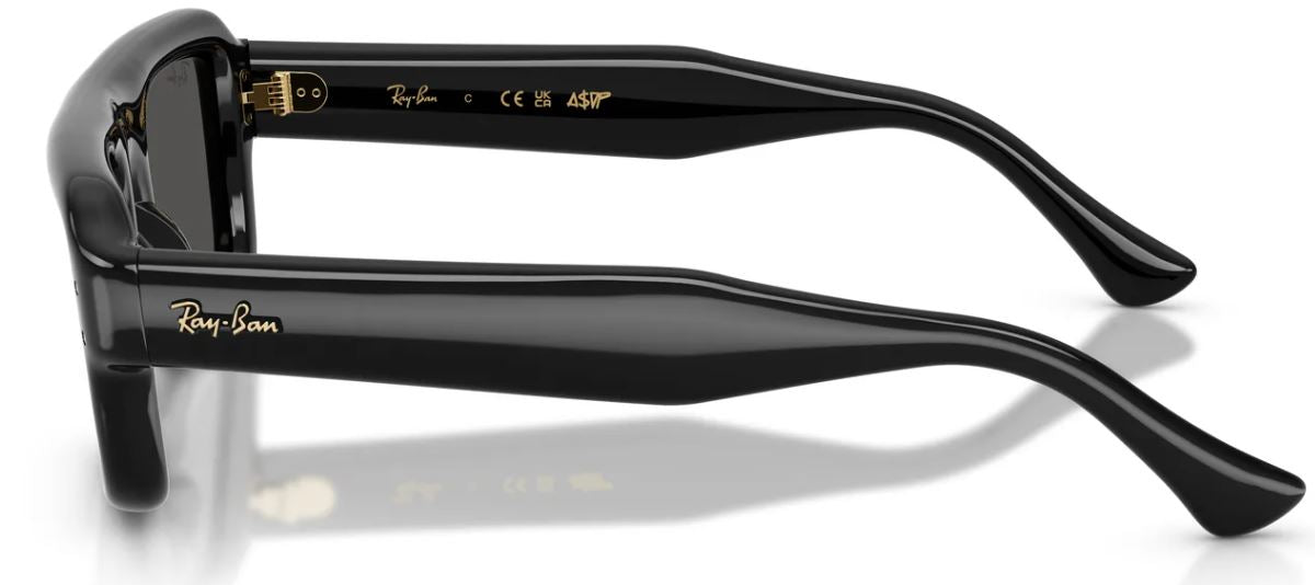 Ray-Ban RB4954 太陽眼鏡