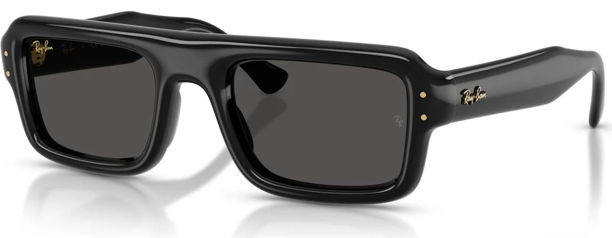 Ray-Ban RB4954 太陽眼鏡