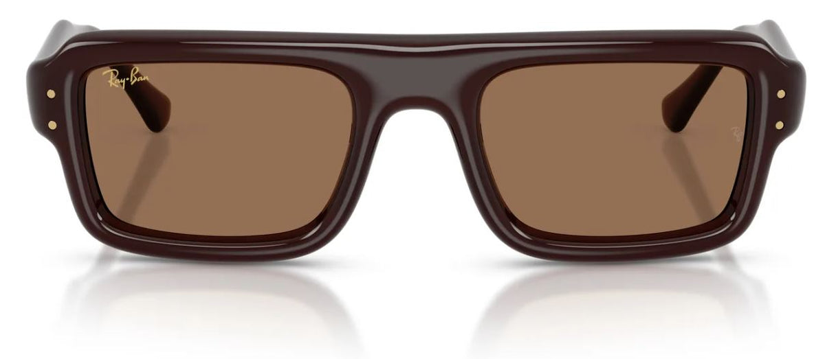 Ray-Ban RB4954 太陽眼鏡