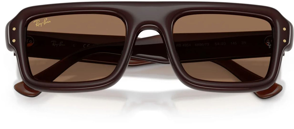 Ray-Ban RB4954 太陽眼鏡