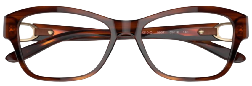 Brille Ralph Lauren RL6210Q