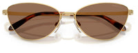 Сонячні окуляри Ralph Lauren RL7093
