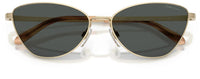 Сонячні окуляри Ralph Lauren RL7093