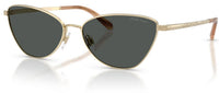 Сонячні окуляри Ralph Lauren RL7093